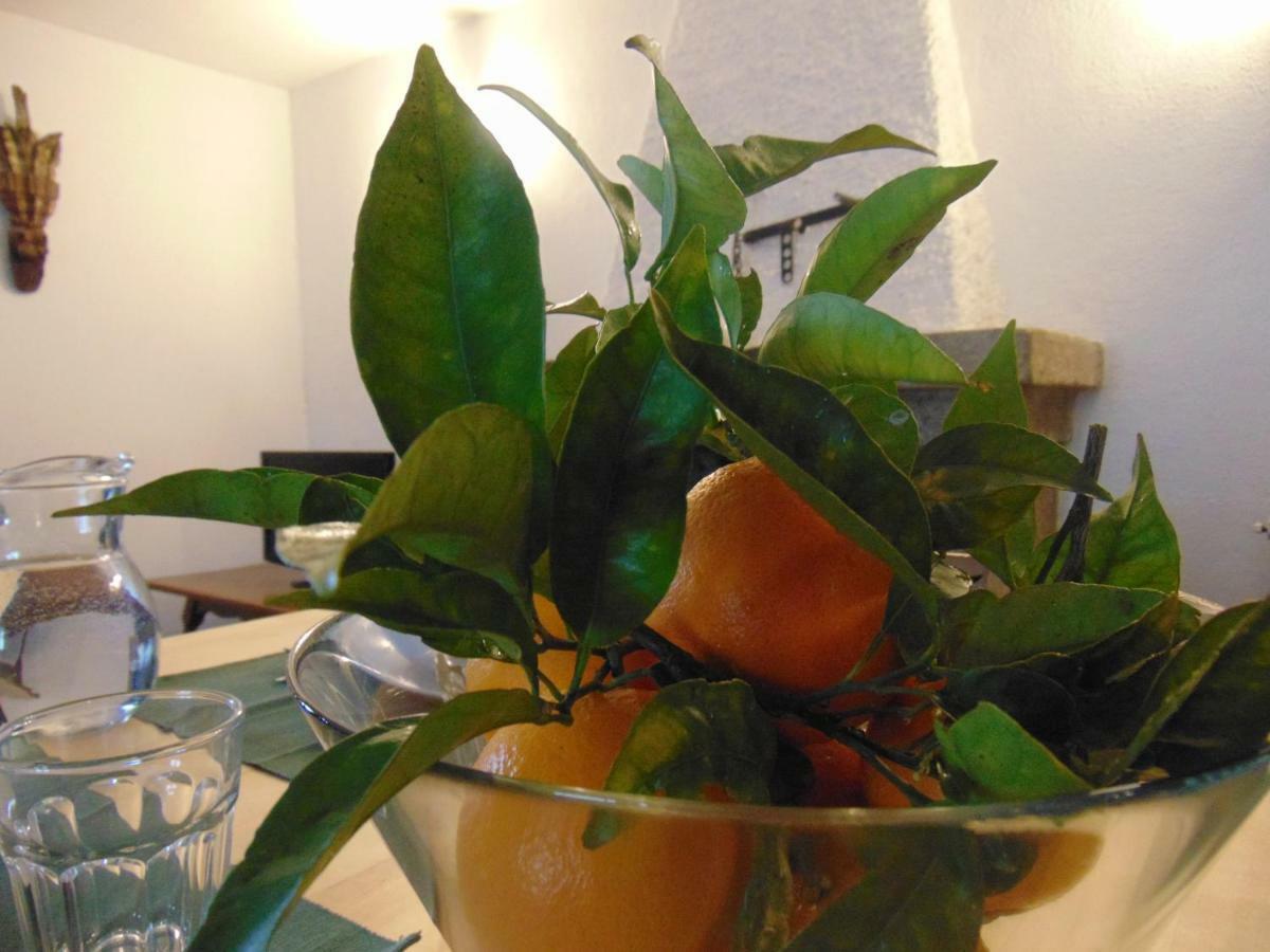 Willa Casas Da Loureira - Casa Batatas I Vila Nova de Cerveira Zewnętrze zdjęcie